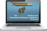The Green Rush- Medical and Recreational Marijuana Legislation in the US