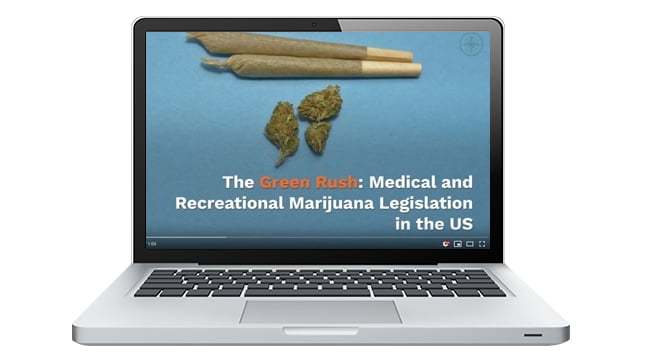The Green Rush- Medical and Recreational Marijuana Legislation in the US copy